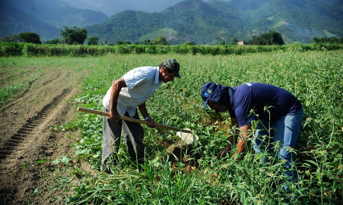 Vai faltar fertilizante no Brasil? Entenda