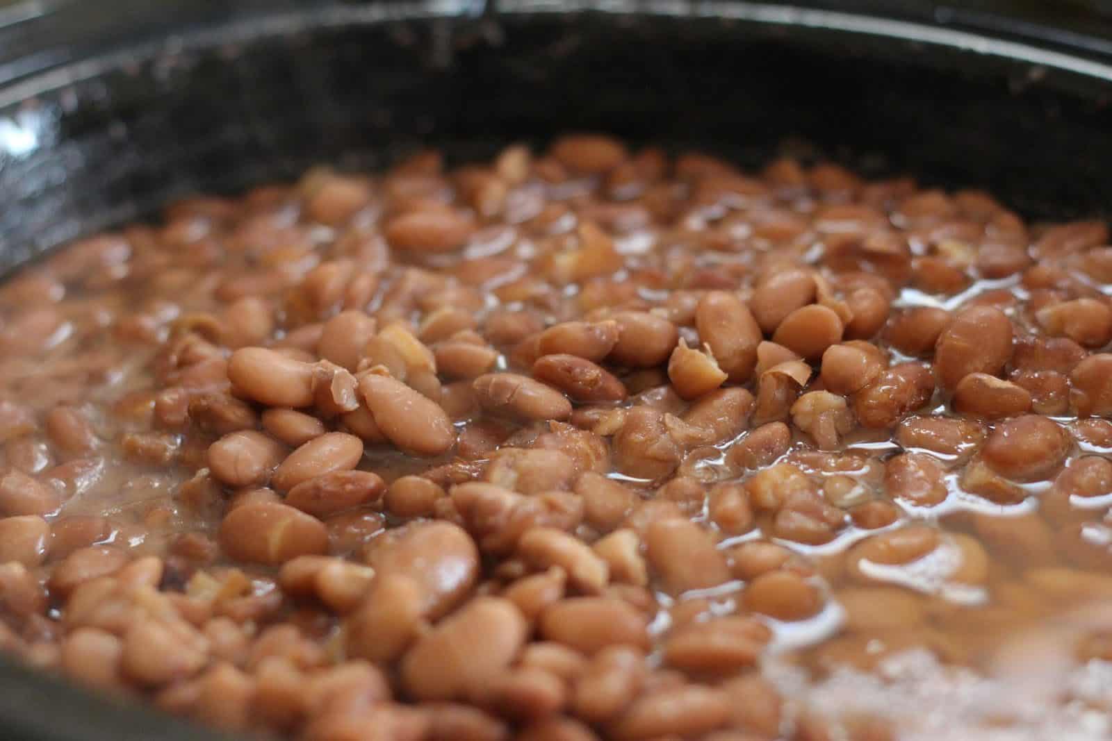 Feijão contaminado: alimento tem agrotóxico proibido ou fora do limite em teste do governo