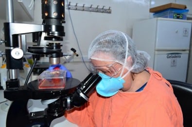 Pesquisadores da USP cultivam o vírus monkeypox em células e distribuem amostras para outros laboratórios