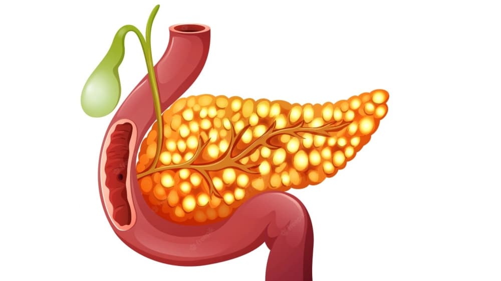 Estudo revela conjunto de genes desregulados no câncer de pâncreas e aponta potenciais alvos terapêuticos