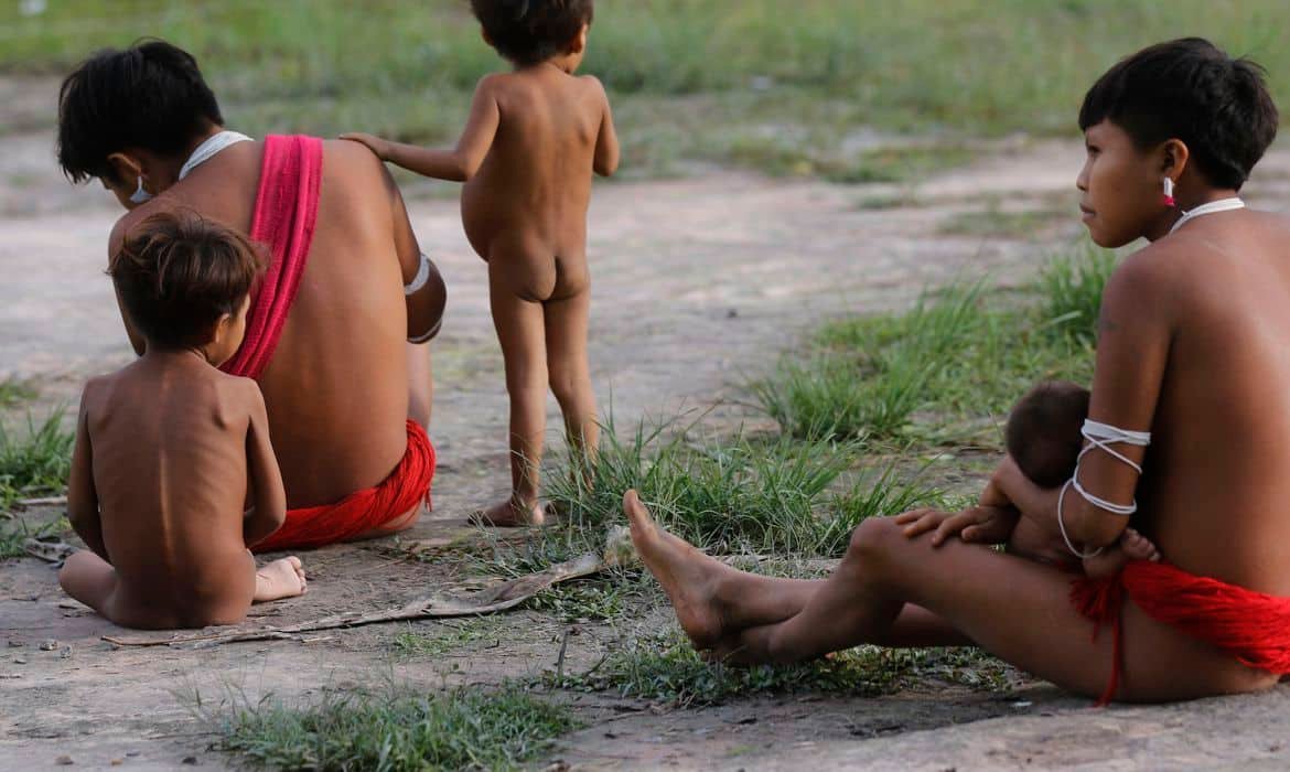 IBGE inicia última etapa do Censo 2022 na Terra Indígena Yanomami - Canal  MyNews – Jornalismo Independente