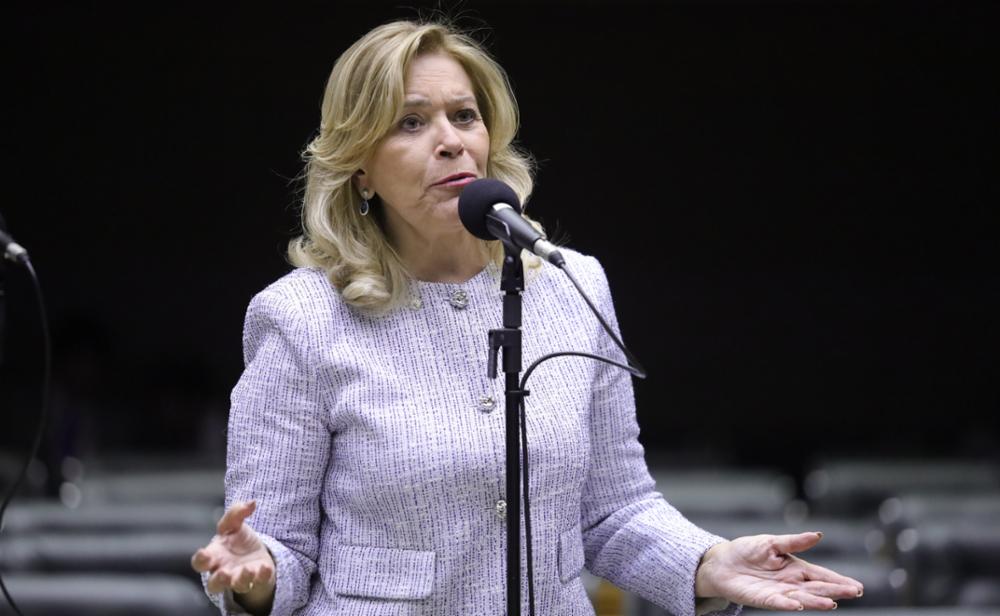 ‘Precisamos avançar’, diz deputada sobre representação feminina no legislativo