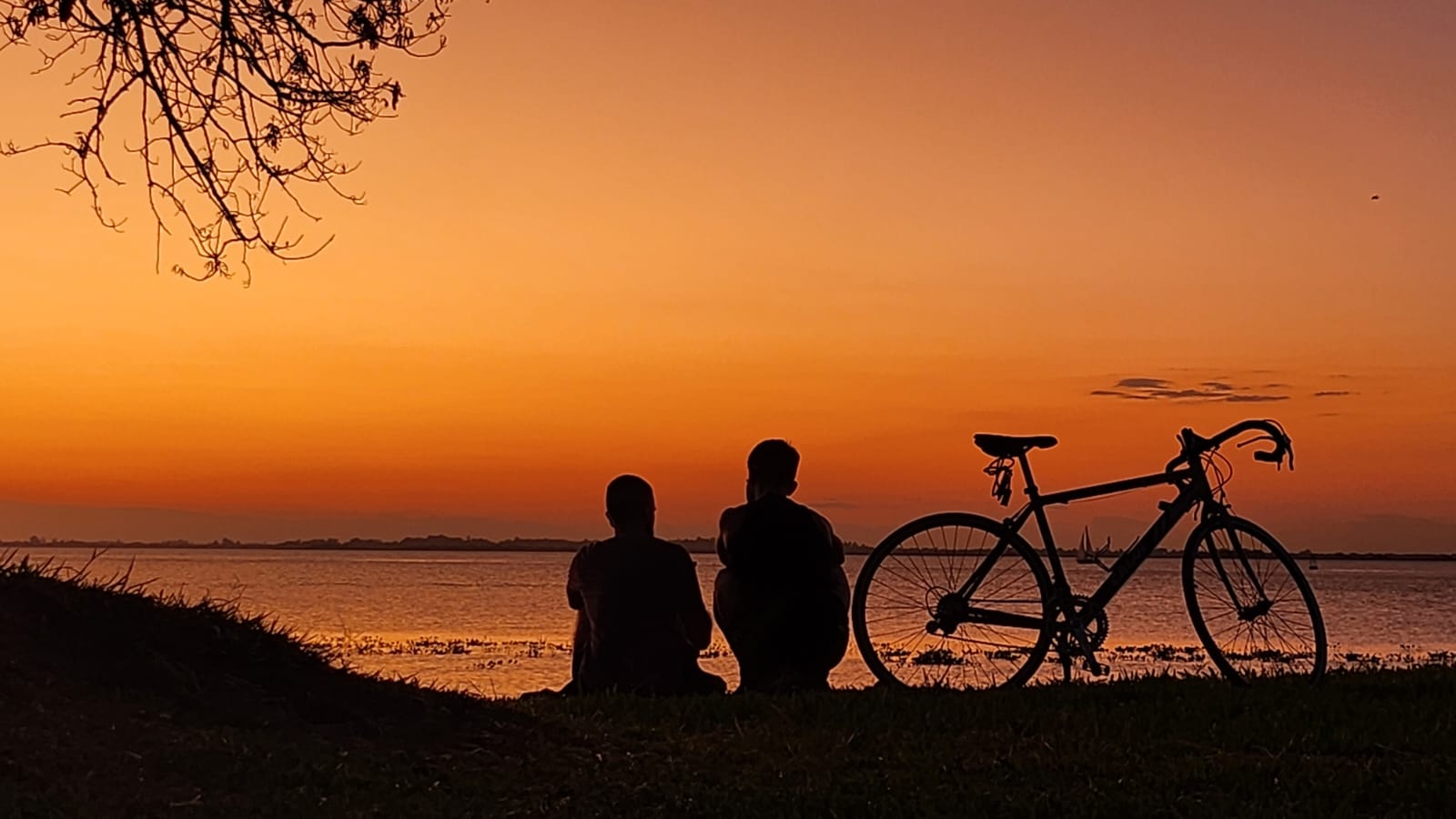 News